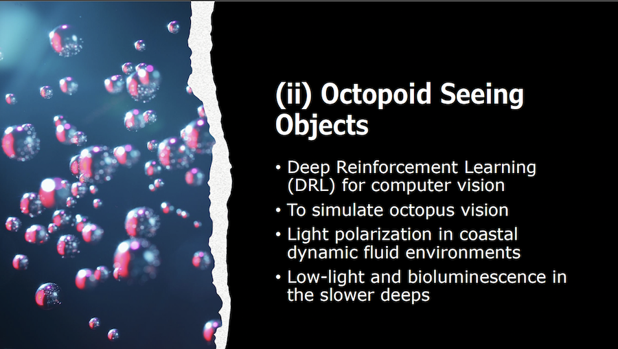slide 9, Octopoid Seeing Objects - a behavioural simulation of octopus vision.