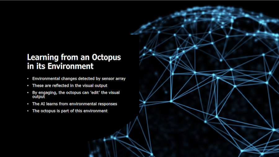 slide 7, Learning from an octopus in its environment. Changes in the environment, including the octopus, are reflected in the visual output.