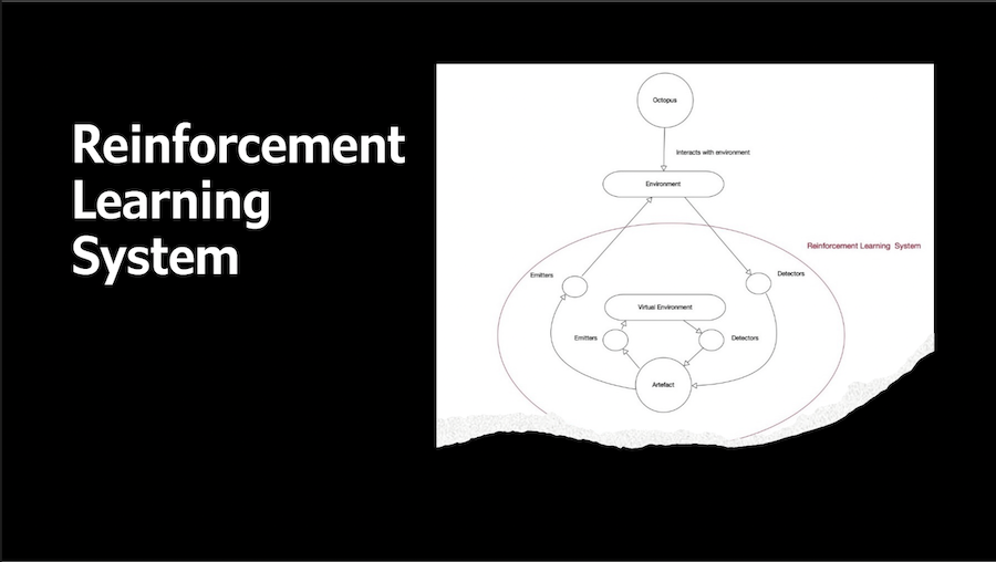 Slide 6, system diagram showing the reinforcement learning system, learning from the octopus in and as part of its environment.